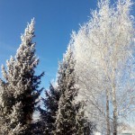 Лакуц Матвей; Фото-2 Лакуц Матвей; Фото-2