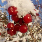 Лакуц Матвей. Фото-4jpg Лакуц Матвей. Фото-4jpg