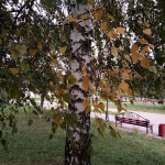 Осенний этюд Осенний этюд