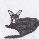 Храмченков Андрей ,14 лет