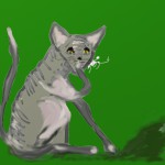 Дражников Василий, 10 лет