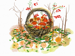 Дражников Василий,10 лет