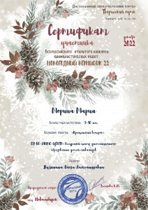 Сертификат Новогодний22-7